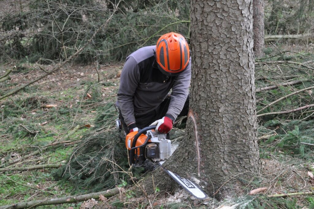 Holzgreifer – wichtiger Helfer bei Forstarbeiten